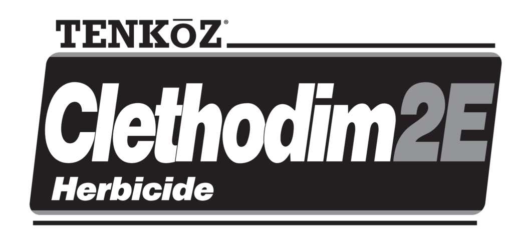 Buccaneer Plus – Tenkoz | Member Owned